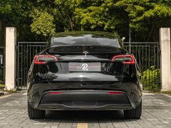 Tesla Model Y 2022 Facelift Rear-Wheel Drive - ფოტო 5