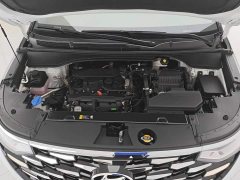 Hyundai Cosworth 270TGDi LUX Prestige Edition - ფოტო 10