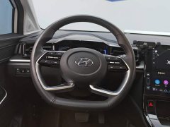 Hyundai Cosworth 270TGDi LUX Prestige Edition - ფოტო 15