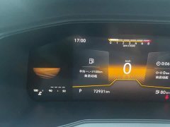 Volkswagen Tujia Facelift 1.5L Automatic Fashion Edition - ფოტო 14