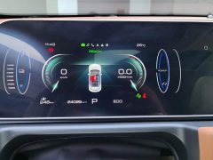 ORA Good Cat 401km Luxury - ფოტო 14