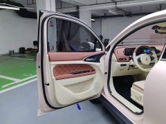 ORA Good Cat 401km Luxury - ფოტო 7