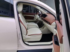 ORA Good Cat 401km Luxury - ფოტო 8