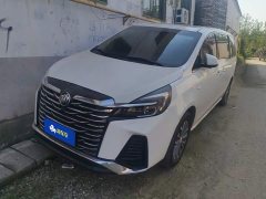 Buick GL8 Land Executive Cabin 652T Luxury - ფოტო 1