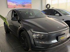 Tesla Model Y Rear-Wheel Drive - ფოტო 3