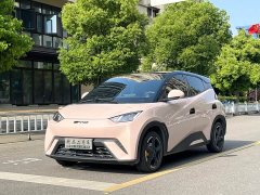 BYD Seagull Glory Edition 305km Vitality Version - ფოტო 1