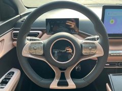BYD Seagull Glory Edition 305km Vitality Version - ფოტო 13