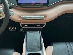 BYD Seagull Glory Edition 305km Vitality Version - ფოტო 14