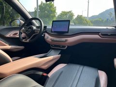 BYD Seagull Glory Edition 305km Vitality Version - ფოტო 16