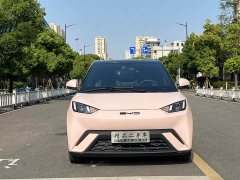 BYD Seagull Glory Edition 305km Vitality Version - ფოტო 2