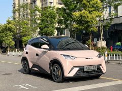 BYD Seagull Glory Edition 305km Vitality Version - ფოტო 3