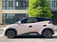 BYD Seagull Glory Edition 305km Vitality Version - ფოტო 4