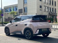 BYD Seagull Glory Edition 305km Vitality Version - ფოტო 5