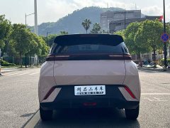 BYD Seagull Glory Edition 305km Vitality Version - ფოტო 6