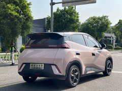 BYD Seagull Glory Edition 305km Vitality Version - ფოტო 7