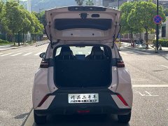 BYD Seagull Glory Edition 305km Vitality Version - ფოტო 8