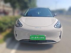 Geely Xing Yuan UP 410km Explorer Edition - ფოტო 2