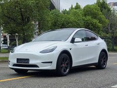 Tesla Model Y 2023 Long Range All-Wheel Drive - ფოტო 1