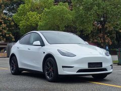 Tesla Model Y 2023 Long Range All-Wheel Drive - ფოტო 3