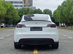 Tesla Model Y 2023 Long Range All-Wheel Drive - ფოტო 5