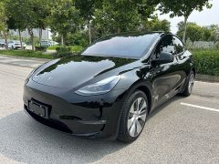 Tesla Model Y Long Range All-Wheel Drive - ფოტო 1