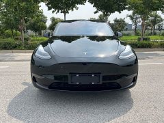 Tesla Model Y Long Range All-Wheel Drive - ფოტო 2