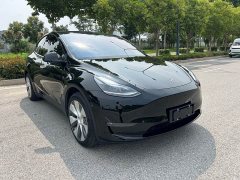Tesla Model Y Long Range All-Wheel Drive - ფოტო 3