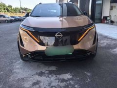 Voyah ARIYA Two-Wheel Drive Long Range Top Configuration - ფოტო 3