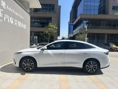 BYD Seal 06 2024 DM-i 120KM Premium Edition - ფოტო 3
