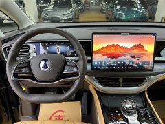Denza BYD Denza D9 2024 DM-i 970 Luxury - ფოტო 8