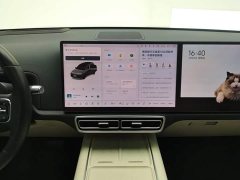 Li Auto L8 Pro - ფოტო 13