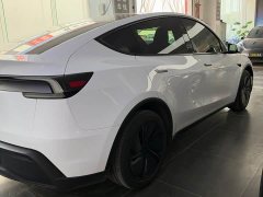 Tesla Model Y Rear-Wheel Drive - ფოტო 8