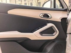 BYD Yuan UP Smart Drive 401KM Leading Edition - ფოტო 9