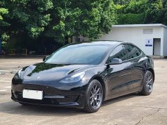 Tesla Model 3 Standard Range RWD Upgrade - ფოტო 1