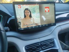 BYD Song Plus New Energy 2021 DM-i 51KM Premium Edition - ფოტო 9