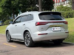 AITO Wenjie M7 1.5T RWD Plus 5-Seater - ფოტო 4