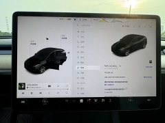Tesla Model Y Standard Range RWD - ფოტო 12
