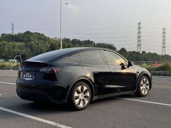 Tesla Model Y Standard Range RWD - ფოტო 19