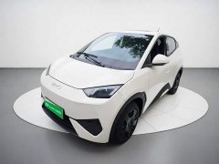 BYD Seagull 2025 Smart Drive 305km Vitality Edition - ფოტო 1