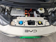 BYD Seagull 2025 Smart Drive 305km Vitality Edition - ფოტო 16