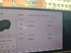 Li Auto Ideal L8 2023 Air - ფოტო 8