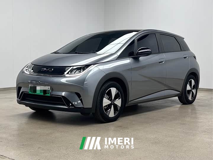 BYD Dolphin 420km Fashion Edition - ავტომობილი ჩინეთიდან