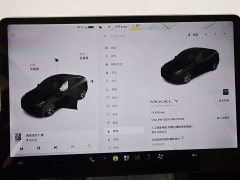 Tesla Model Y Standard Range RWD - ფოტო 16