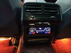 BMW 5 Series 530Li Luxury Edition Premium Package - ფოტო 9