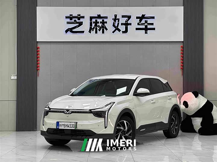 Neta U 2021 Pro 500 Luxury Driving Edition - ავტომობილი ჩინეთიდან