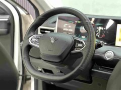 Neta U 2021 Pro 500 Luxury Driving Edition - ფოტო 11