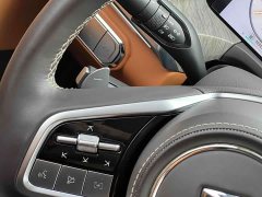 Tank 500 3.0T Business Edition Landscape Trim 5-Seater - ფოტო 13