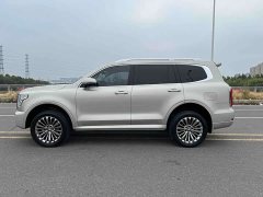 Tank 500 3.0T Business Edition Landscape Trim 5-Seater - ფოტო 4