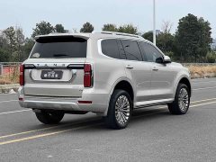 Tank 500 3.0T Business Edition Landscape Trim 5-Seater - ფოტო 7