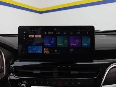 Haval H6 National Trend 1.5T Automatic Champion Edition - ფოტო 13
